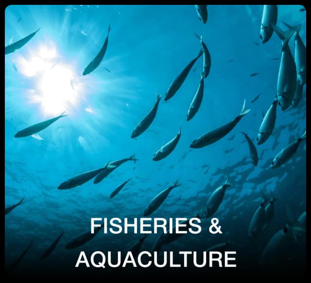 fisheries_and_aquaculture_image